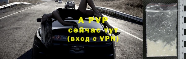 гидра Арсеньев