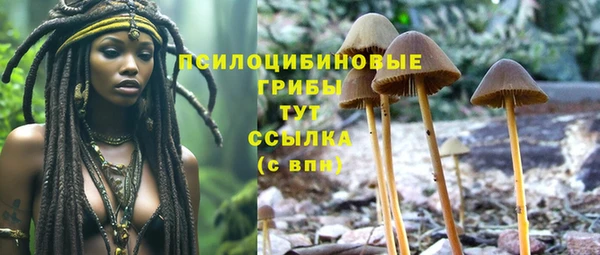 синтетический гашиш Армянск