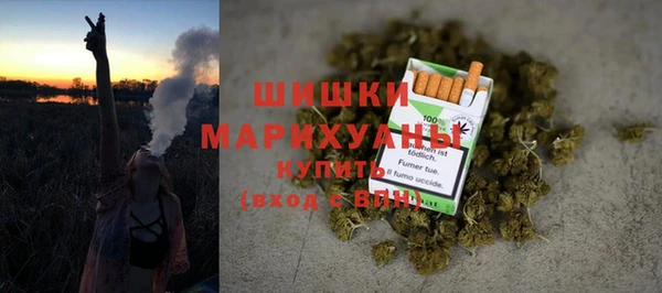 гидра Арсеньев